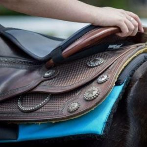 PIRANIHD Coussin de selle en gel pour oto CA A Spyder : Aazon.ca