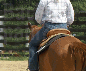 protector de asiento para sillas de montar para caballos cojín y comodidad