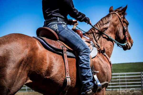 western saddle pad