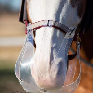 Innovation patented horse products grazing muzzle