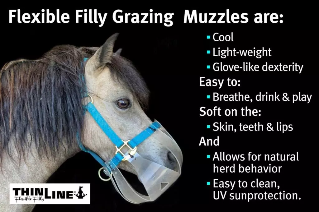 horse grazing muzzle benefits