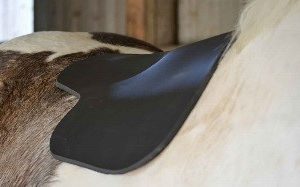 Reasons to Ride in the ThinLine Plus Basic Contour Pad Review