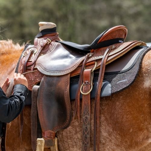 Pro tech western saddle pad mesh spine 15