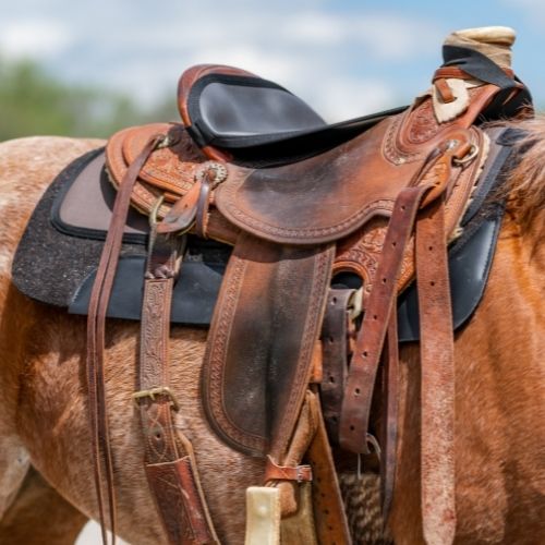 Pro tech western saddle pad mesh spine 16