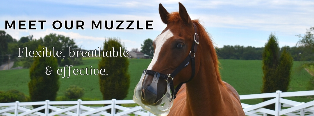 ThinLine Best Grazing Muzzle for Horses