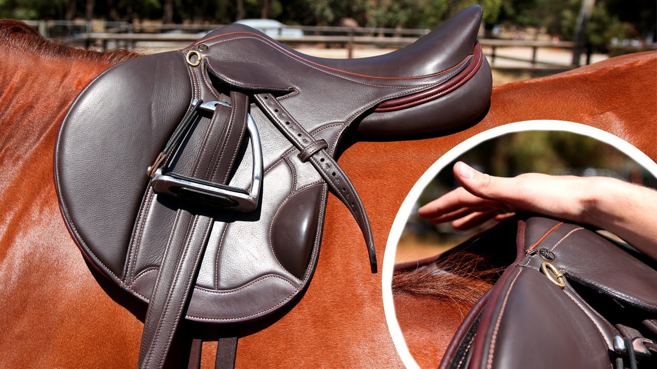saddle fitting image