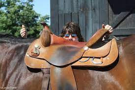 a saddle fitter working on a fitting a western saddle to a horse