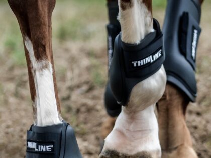 ThinLine Global – Horse Saddle Pads & Equestrian Tack