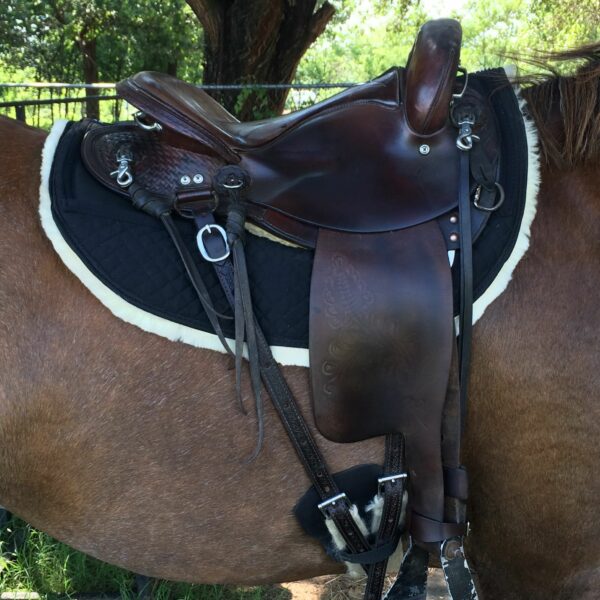 3381 s endurance saddle