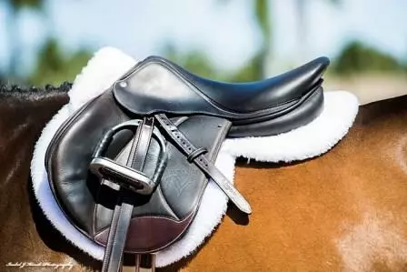 a half pad correcting saddle under a saddle on a horse