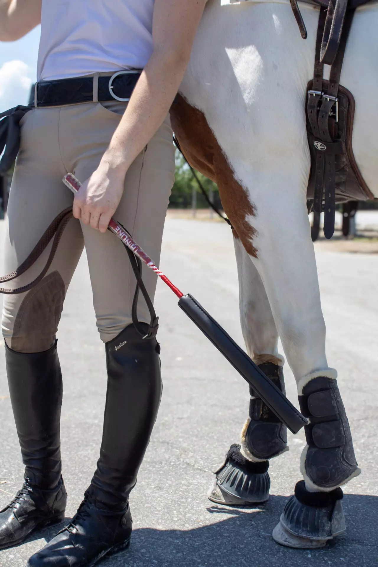 Saddle Pads & Equestrian Tack By ThinLine Global 17 IMG 3742.jpg