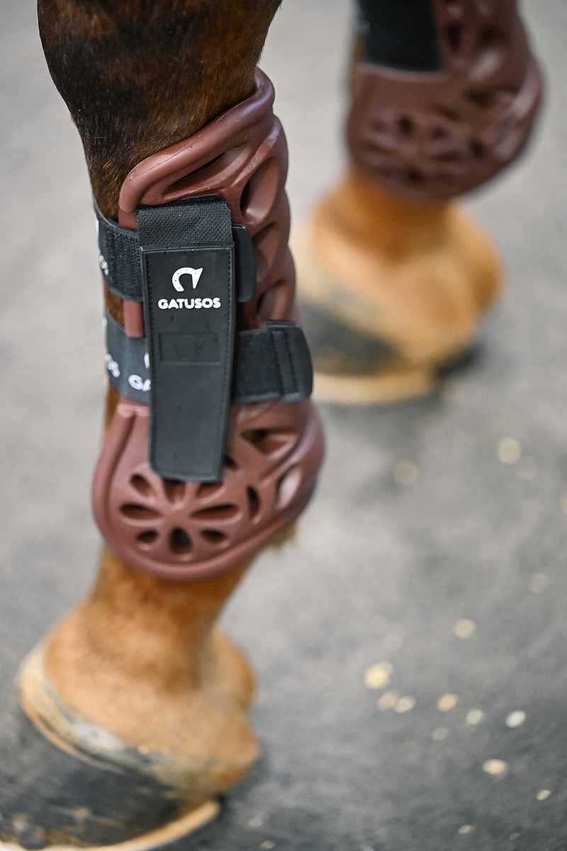 Saddle Pads & Equestrian Tack By ThinLine Global 14 anne sherwood thinline 10 202536